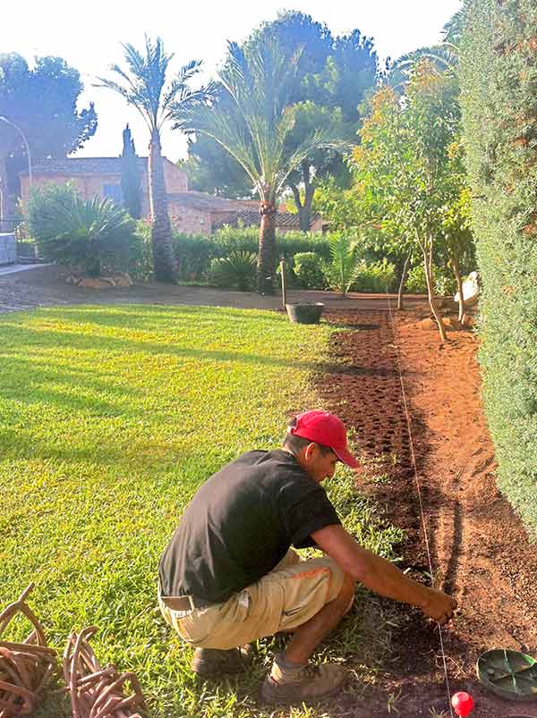 Gartenarbeiten im Sommer