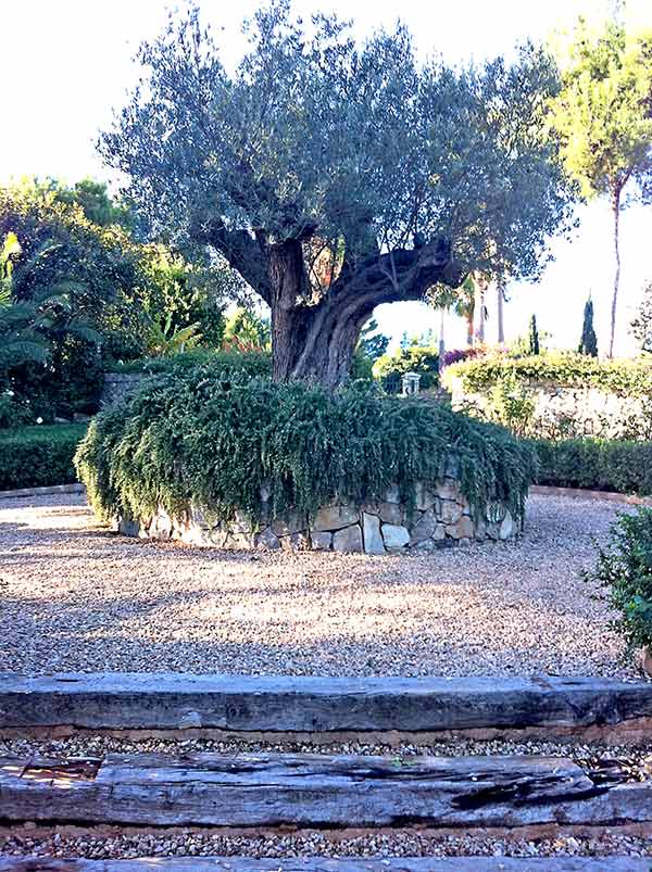 Gartenarbeiten im Winter